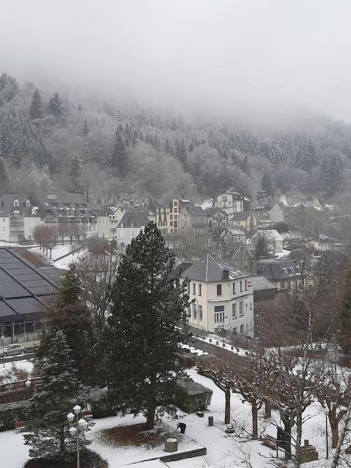 Le Sarciron 82 Apartment Le Mont-Dore Bagian luar foto